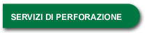 perforation services